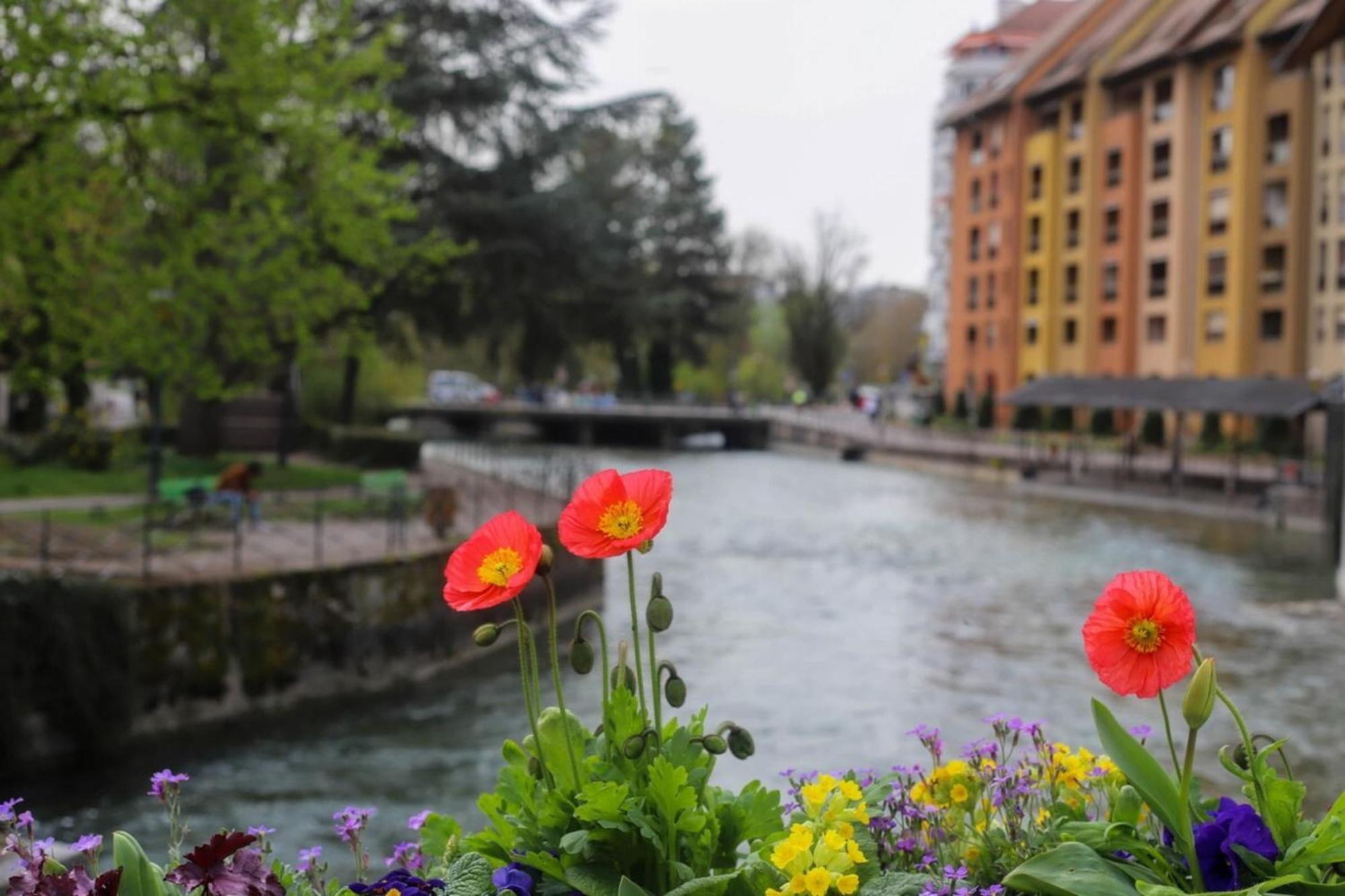 Le Coeur De Ville Splendide T2 Plein Centre Annecy Buitenkant foto
